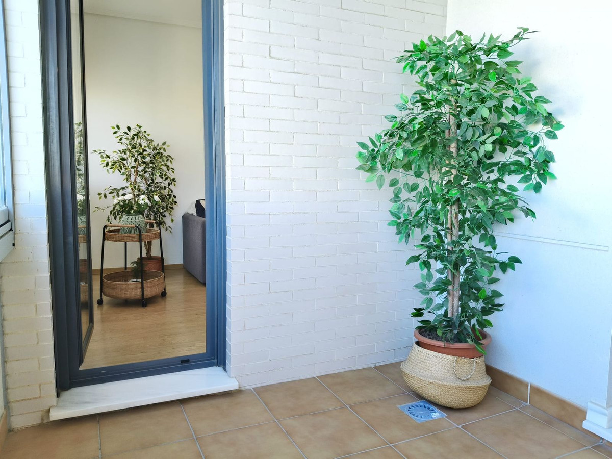 Property main view 36