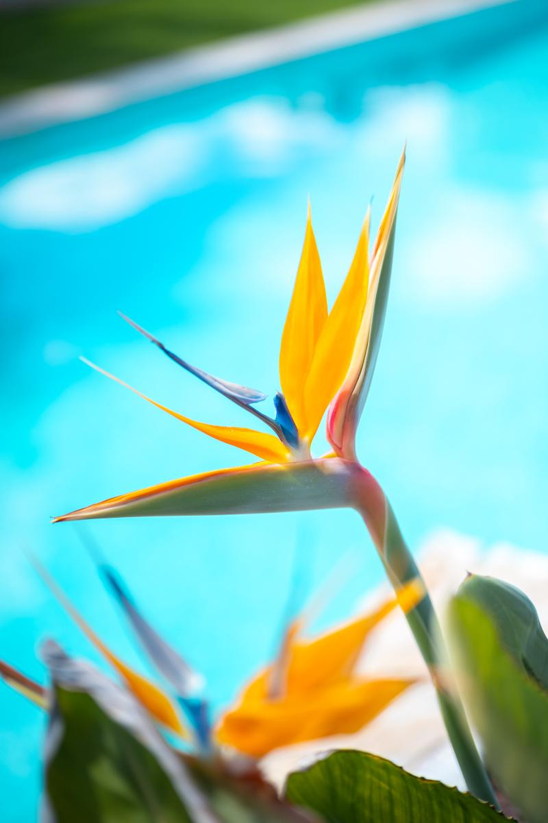 Property main view 57