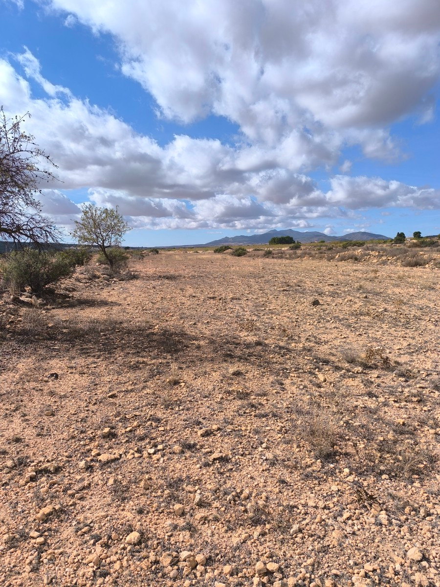 Grond te koop in Pinoso | 0 slaapkamers H5291614