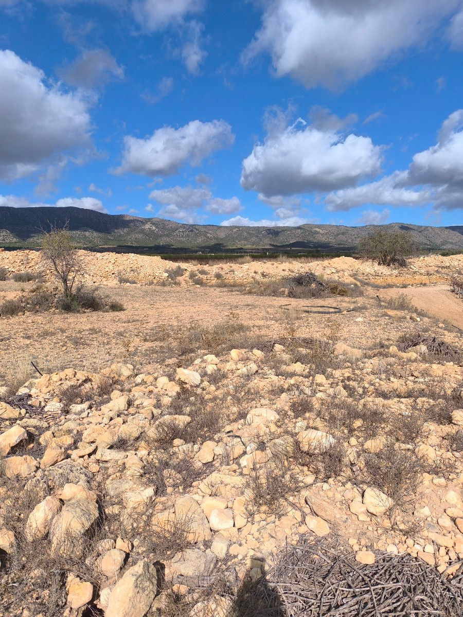 Grond te koop in Pinoso | 0 slaapkamers H5291614