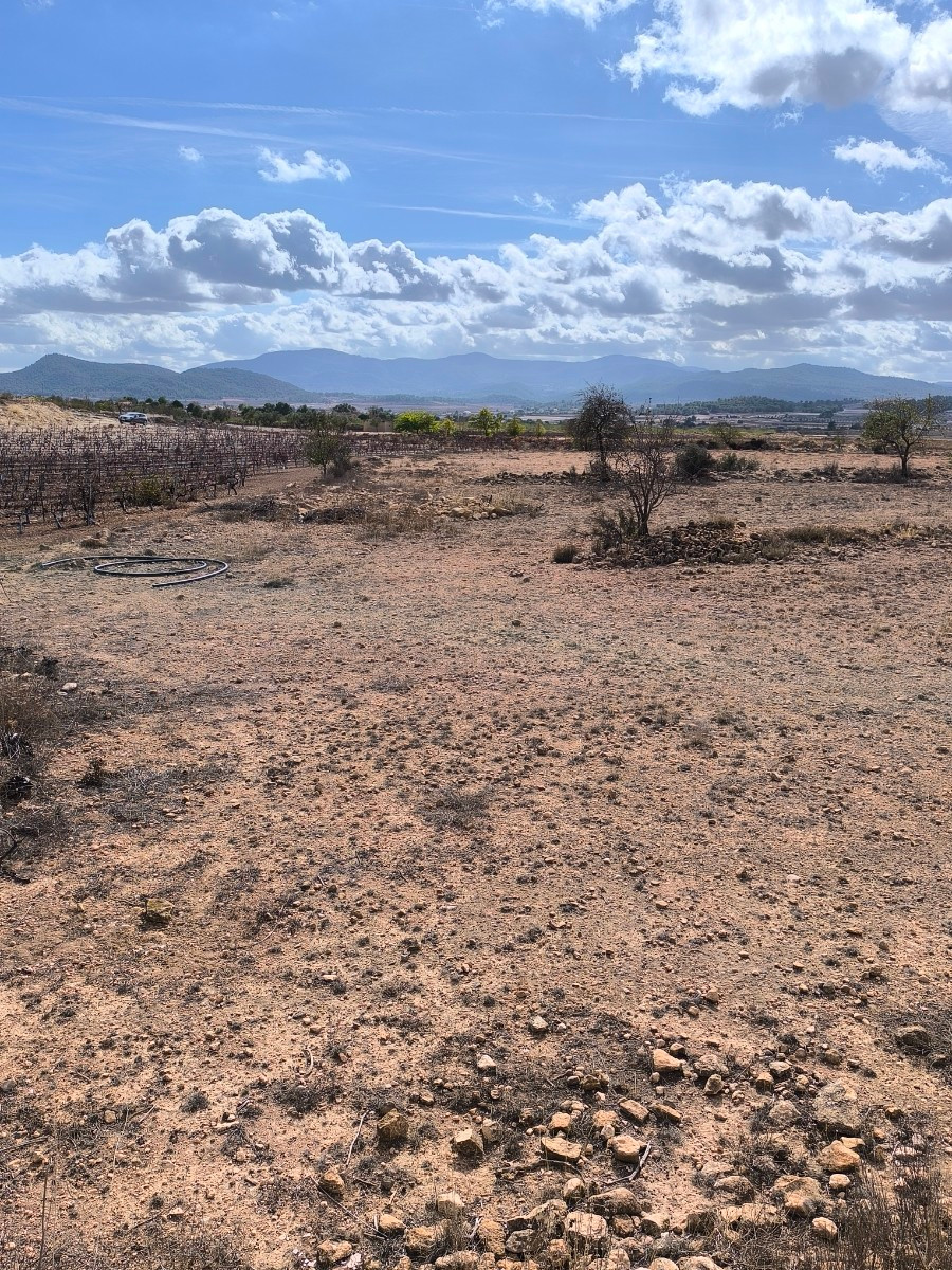 Grond te koop in Pinoso | 0 slaapkamers H5291614