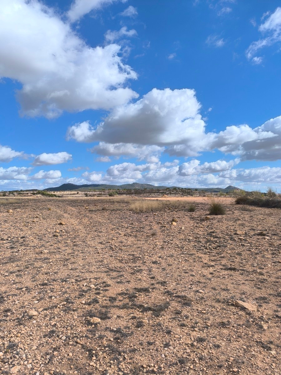 Grond te koop in Pinoso | 0 slaapkamers H5291614