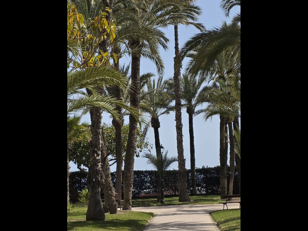 Property main view 16