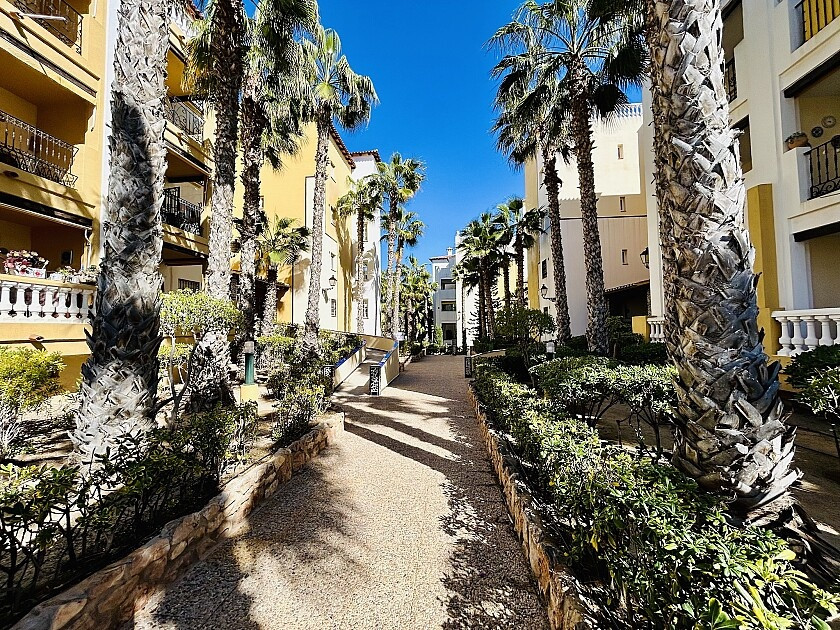 Property main view 22