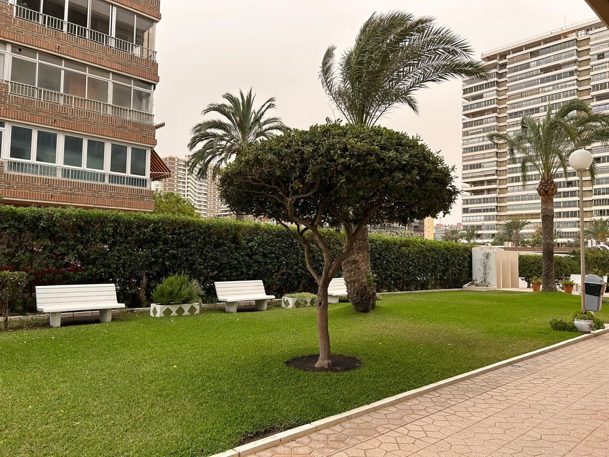 Property main view 2