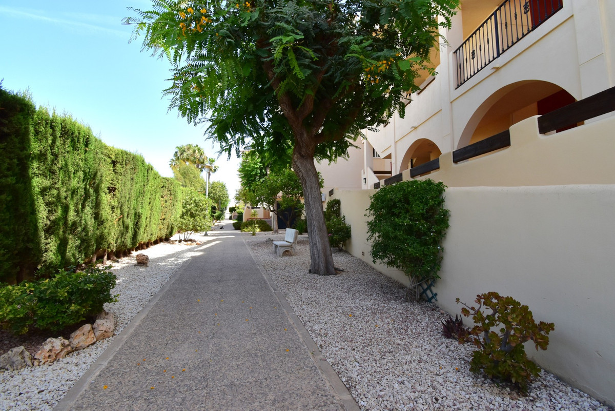 Property main view 25