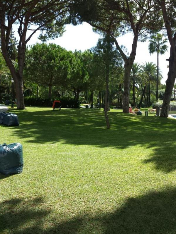 Property main view 12
