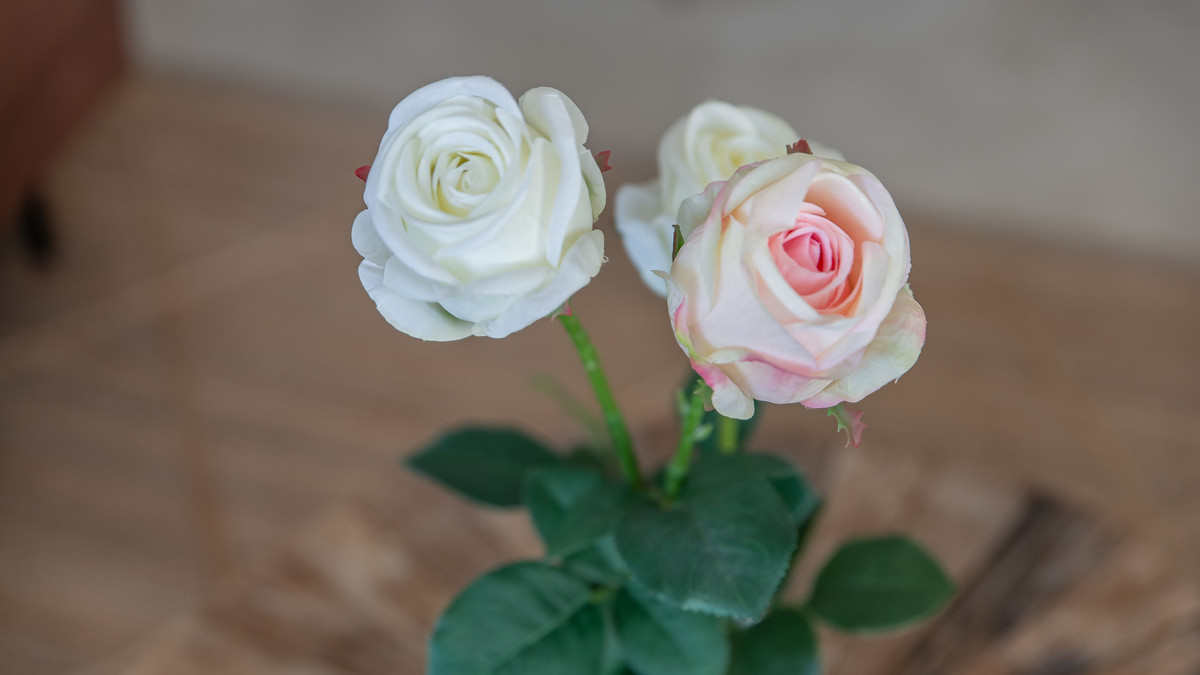 Property main view 49