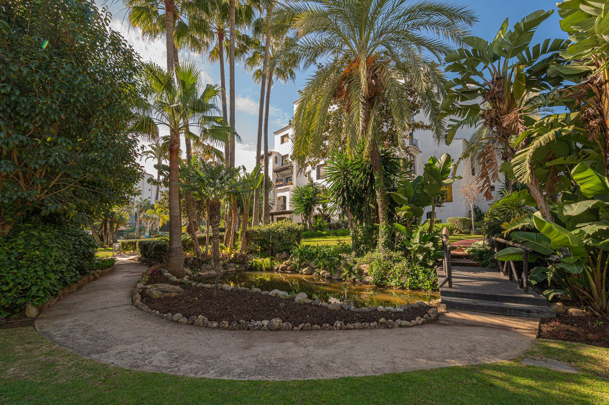 Property main view 43