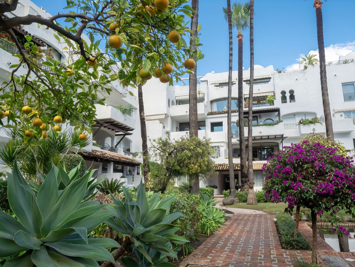 Property main view 23