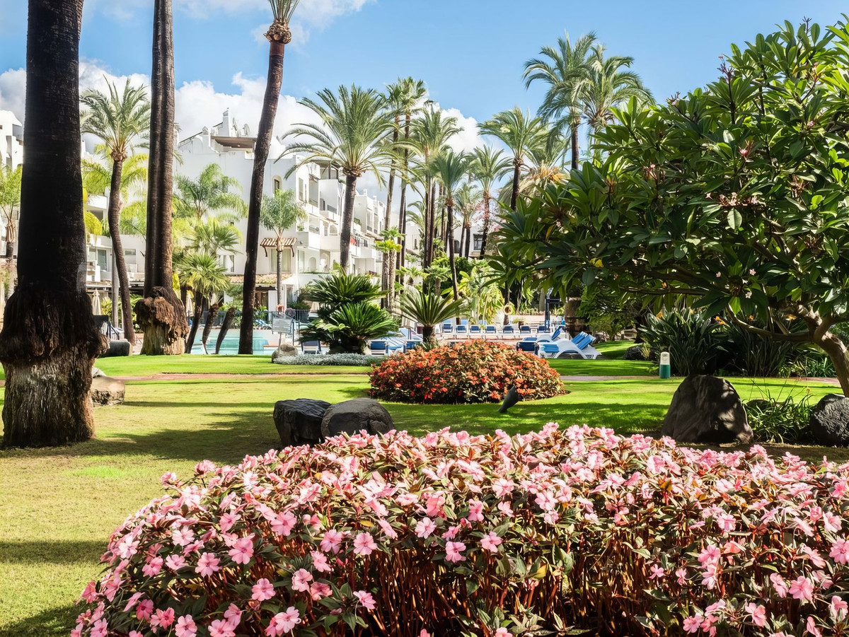 Property main view 24