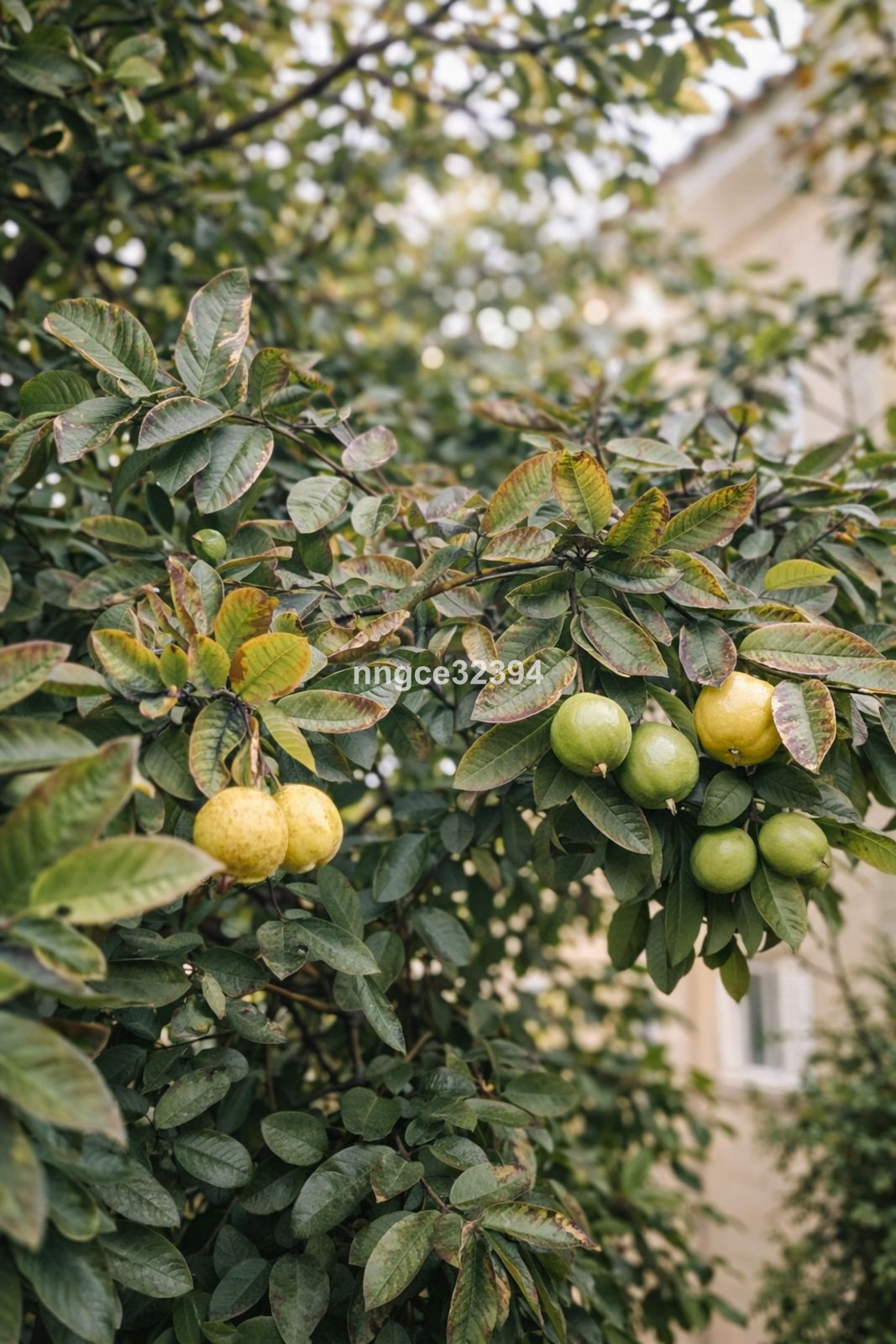 Property main view 15