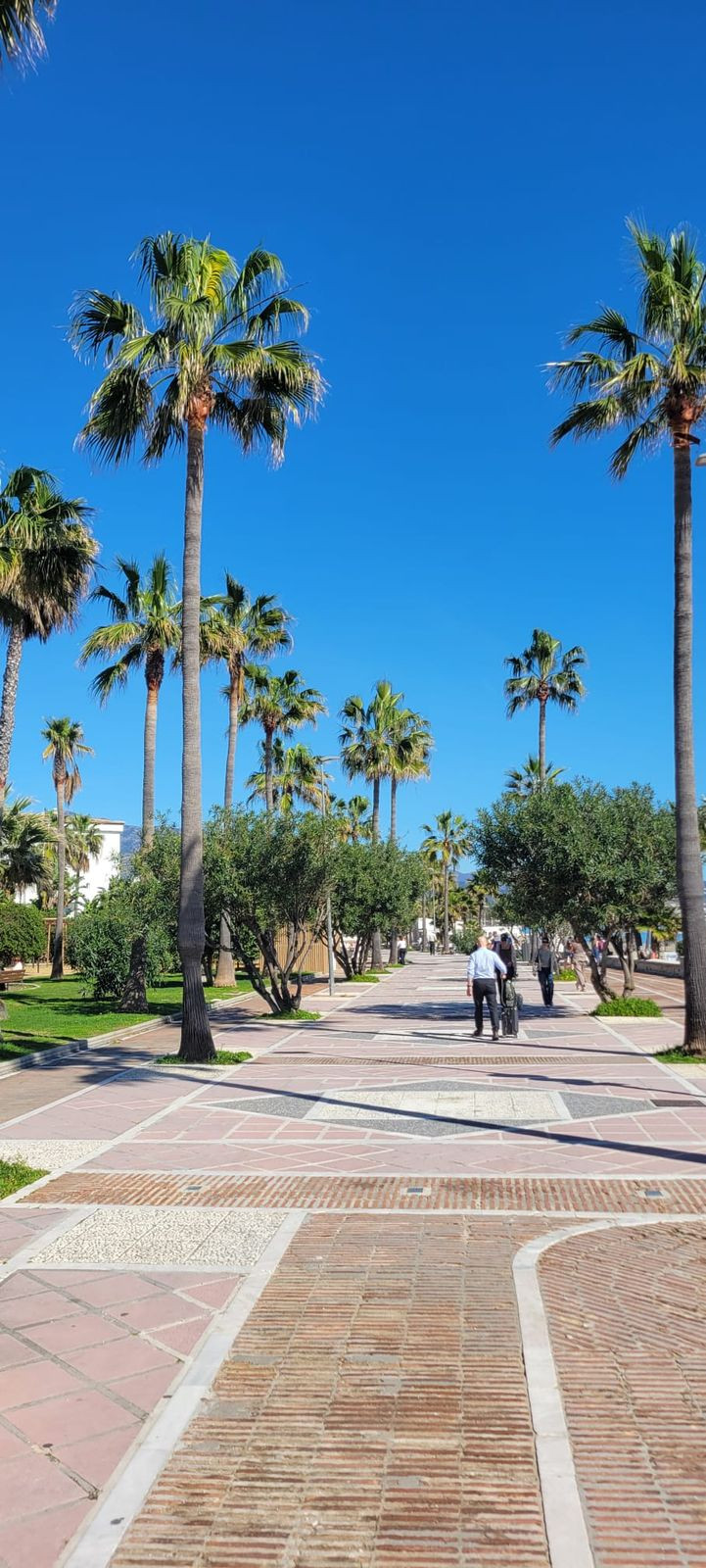 Appartement te koop in Puerto Banús | 2 slaapkamers H5308555