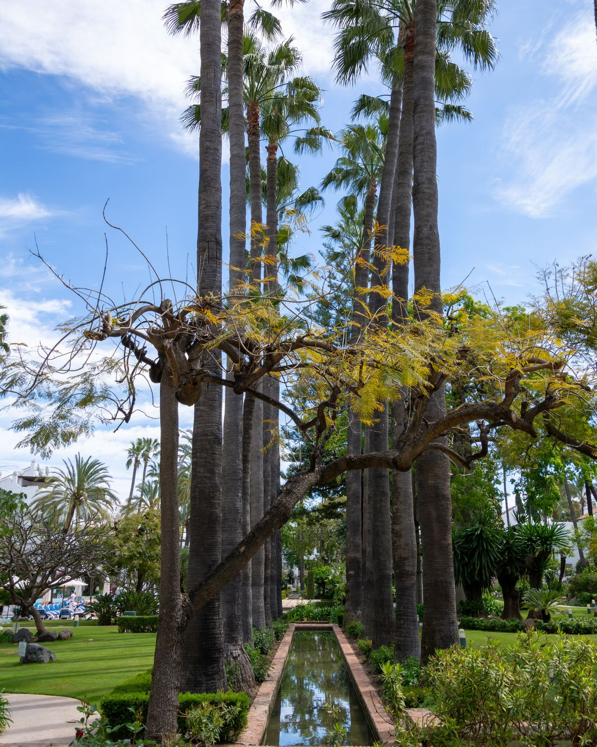 Appartement te koop in Puerto Banús | 4 slaapkamers H5350234