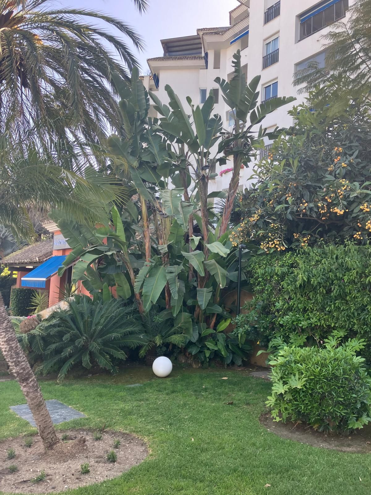 Property main view 26
