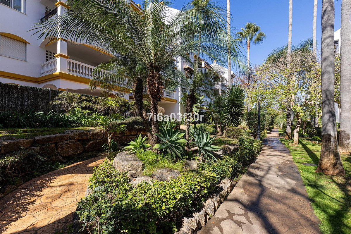 Property main view 50