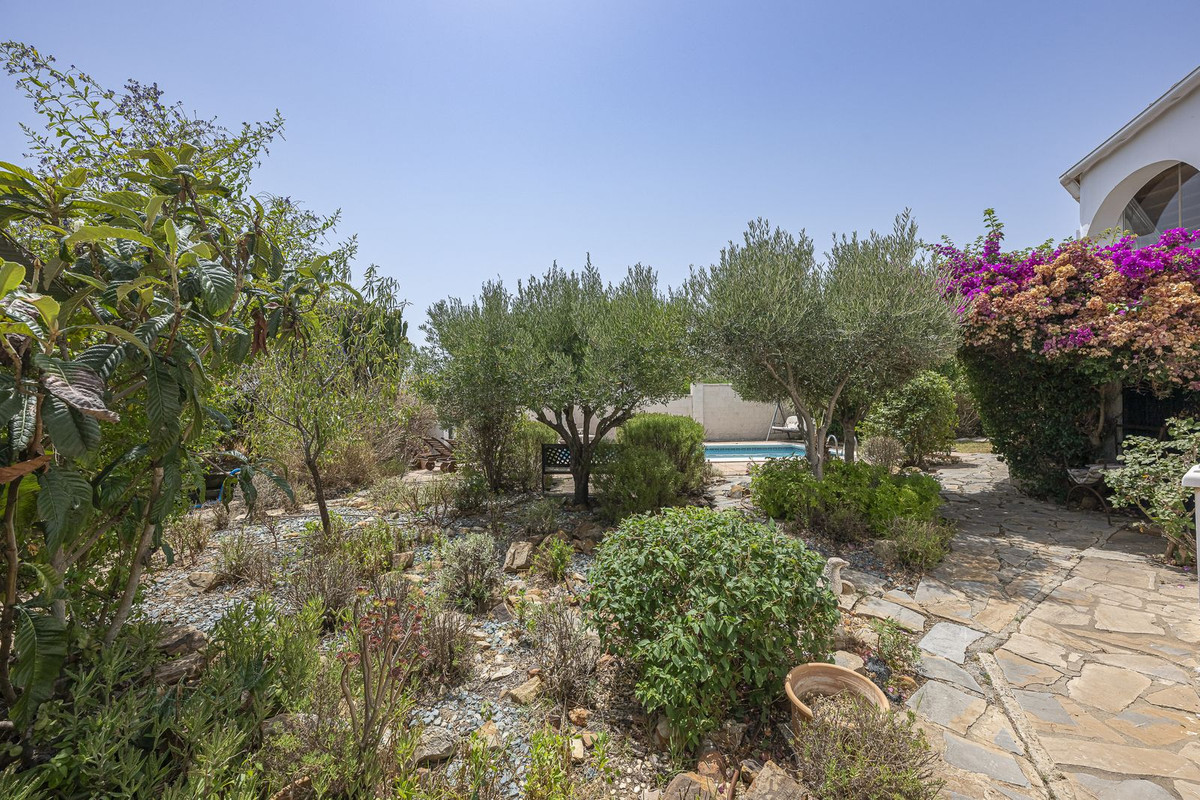 Property main view 62