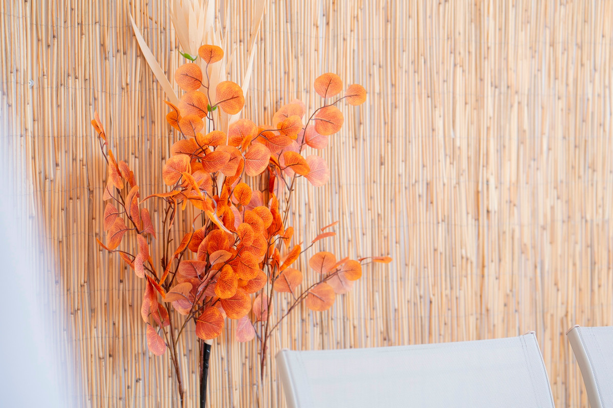 Property main view 26