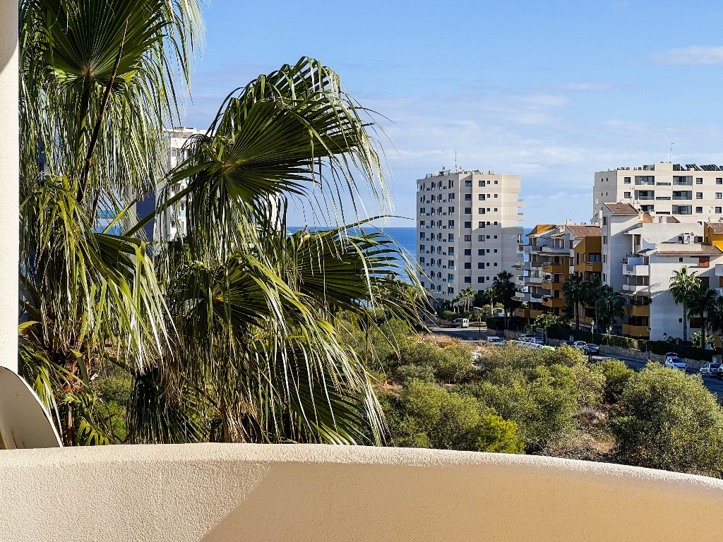 Property main view 14