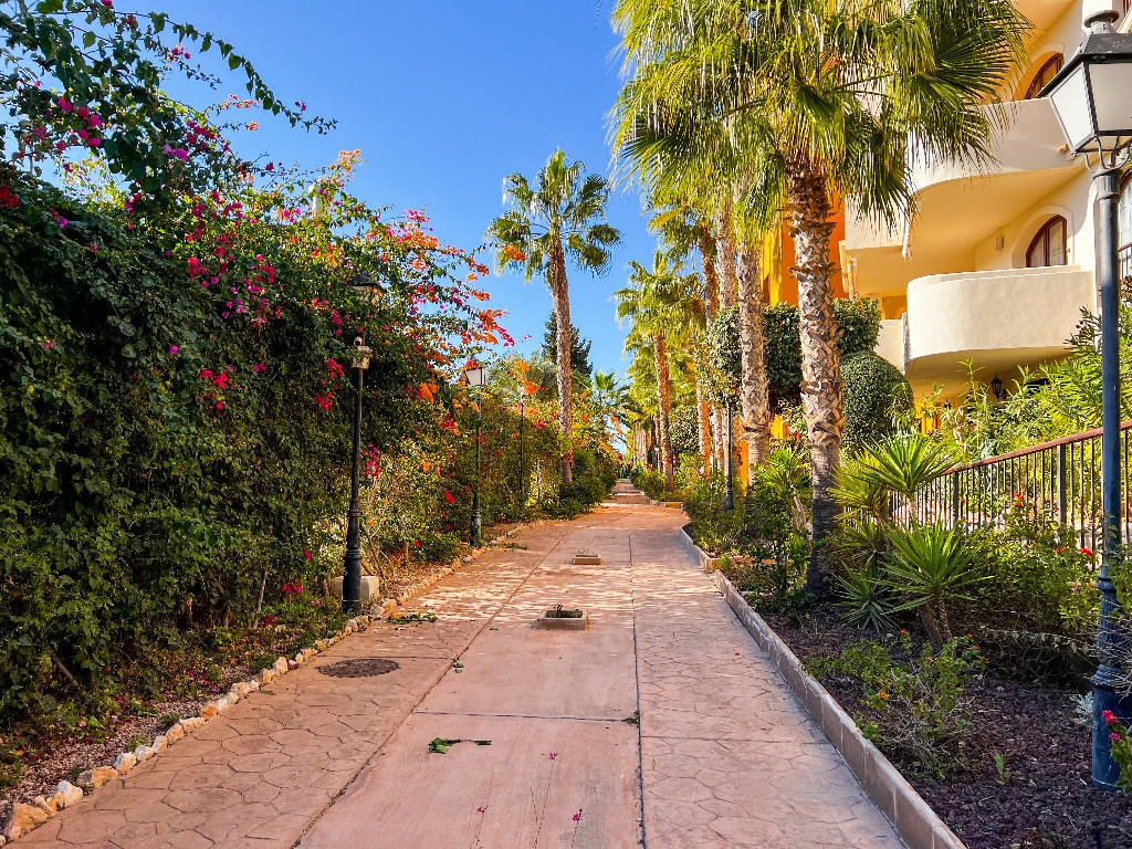 Property main view 30