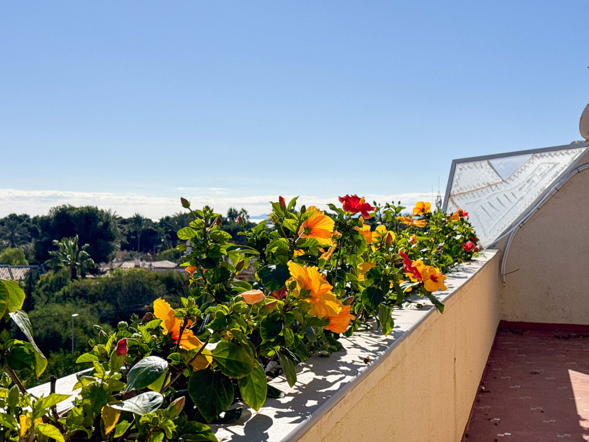 Penthouse te koop in Punta Prima | 2 slaapkamers H5310472