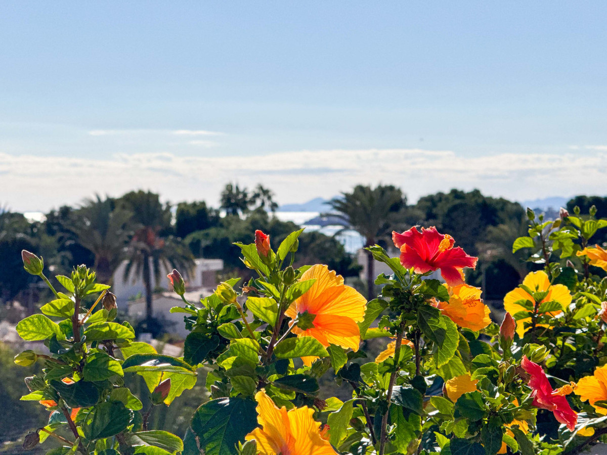 Penthouse te koop in Punta Prima | 2 slaapkamers H5310472