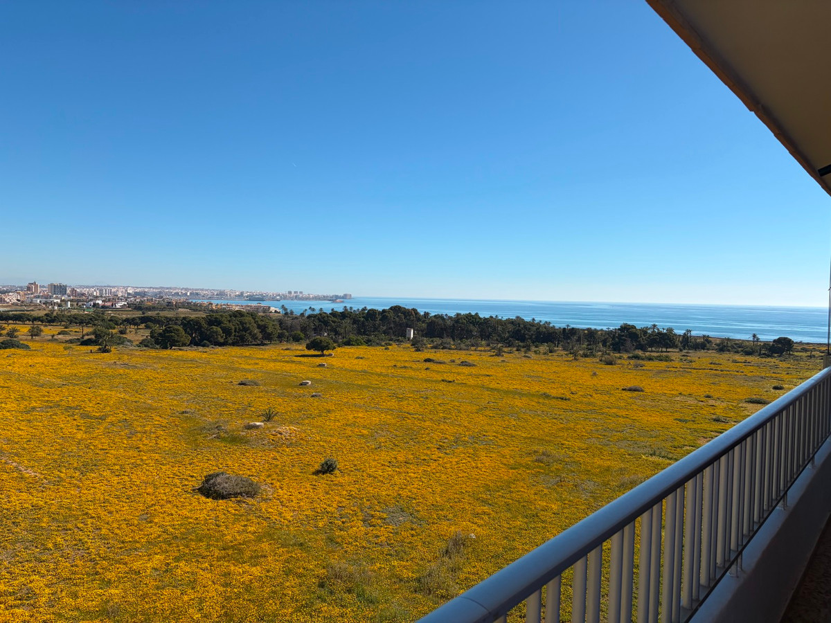 Property main view 31
