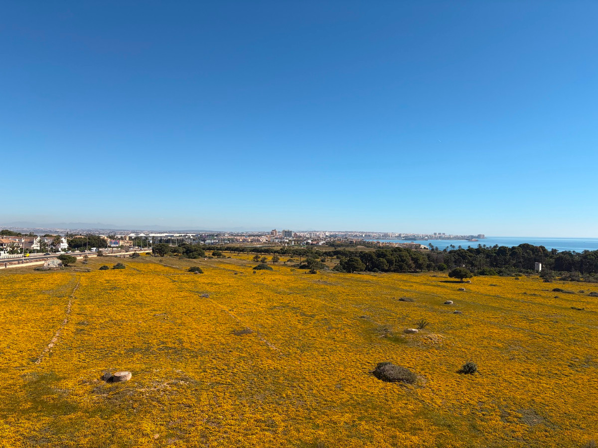 Property main view 32