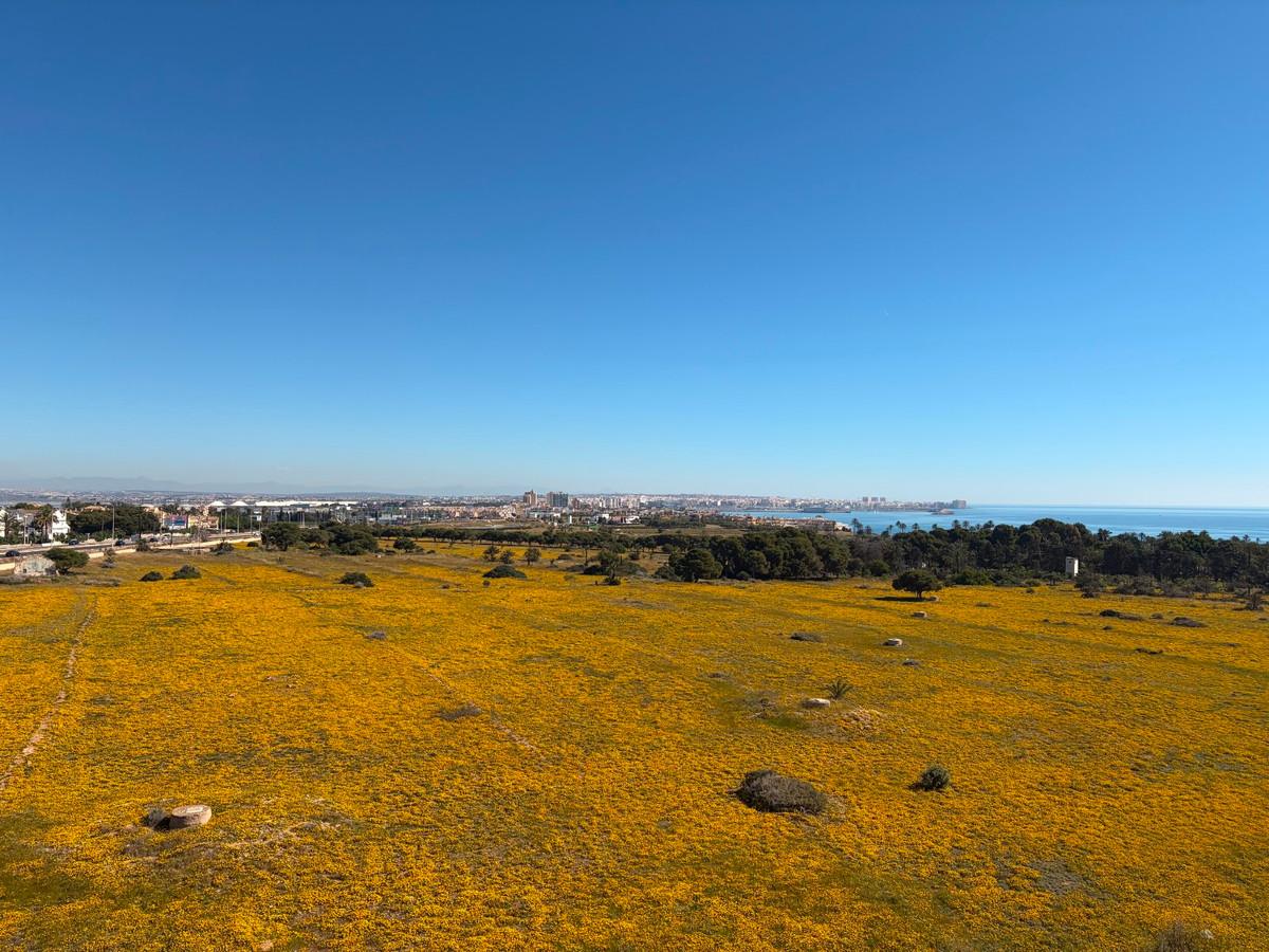 Property main view 33