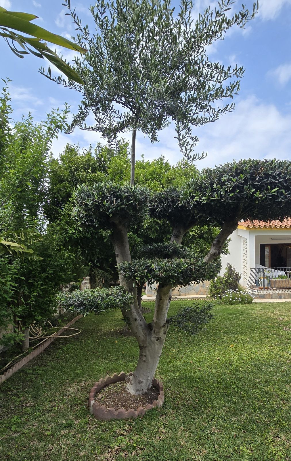 Property main view 11