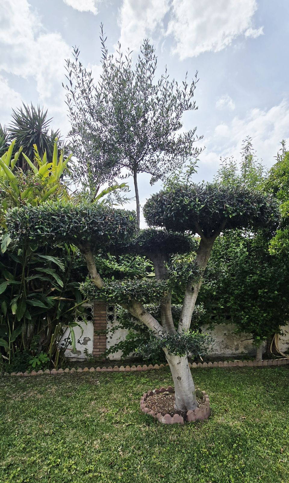 Property main view 13