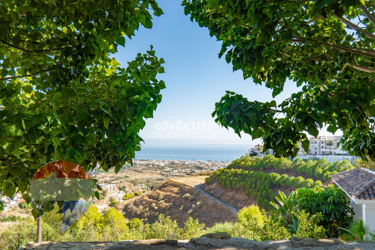 Property main view 43