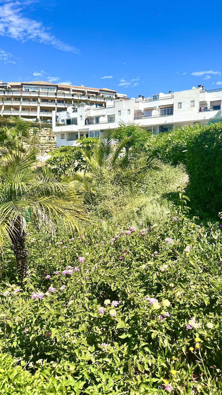Begane grond appartement in Riviera del Sol-2