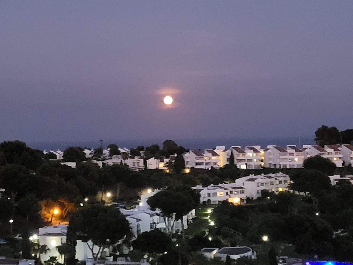 Property main view 31