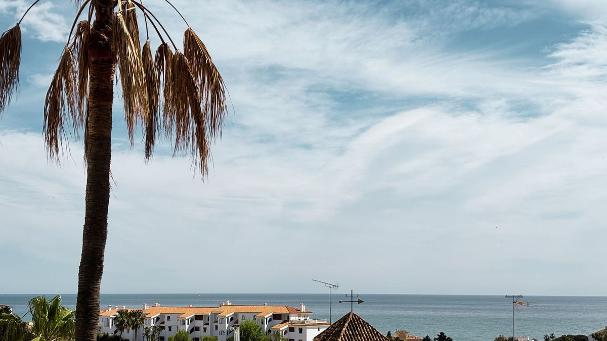 Property main view 2