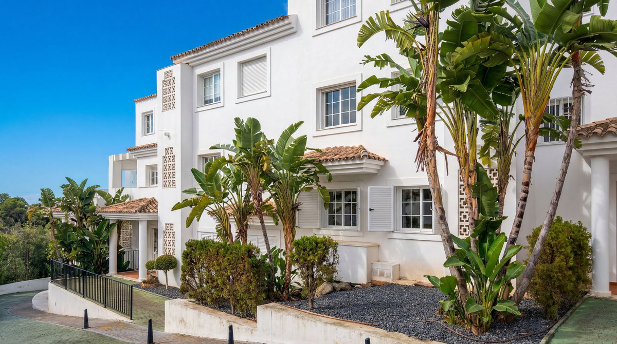 Property main view 11