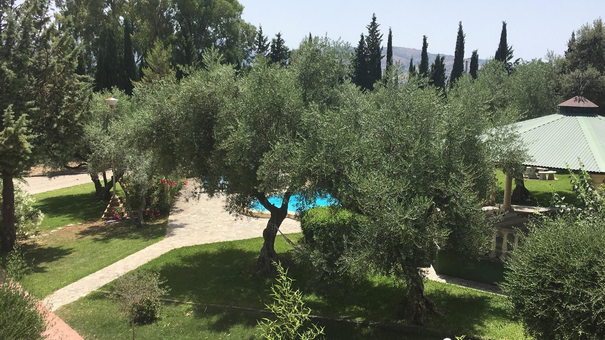 Property main view 8