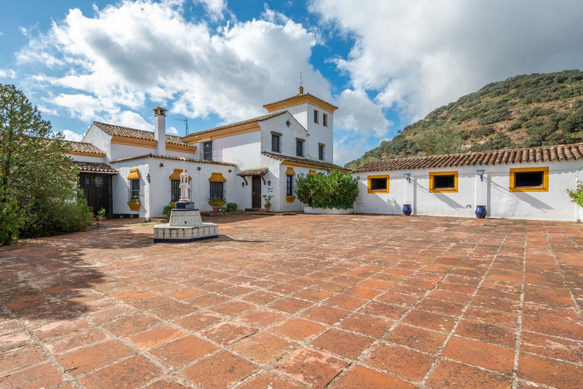 Property main view 39