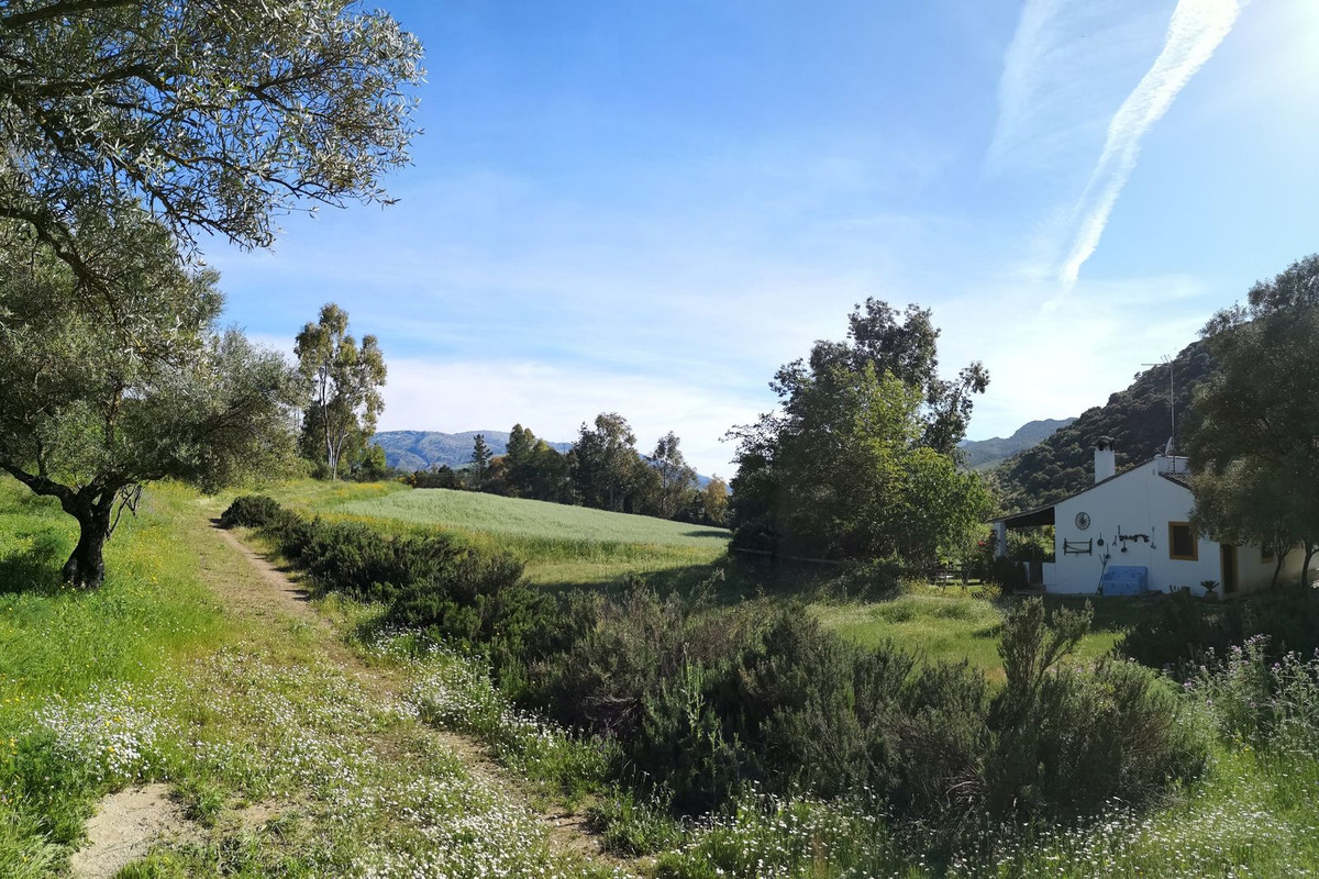Property main view 49