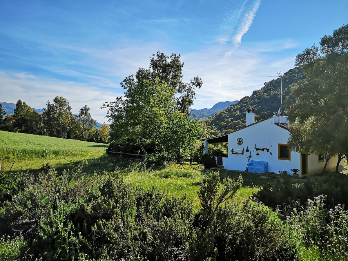 Property main view 50