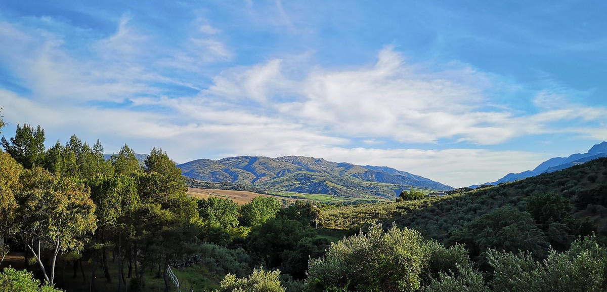 Property main view 52