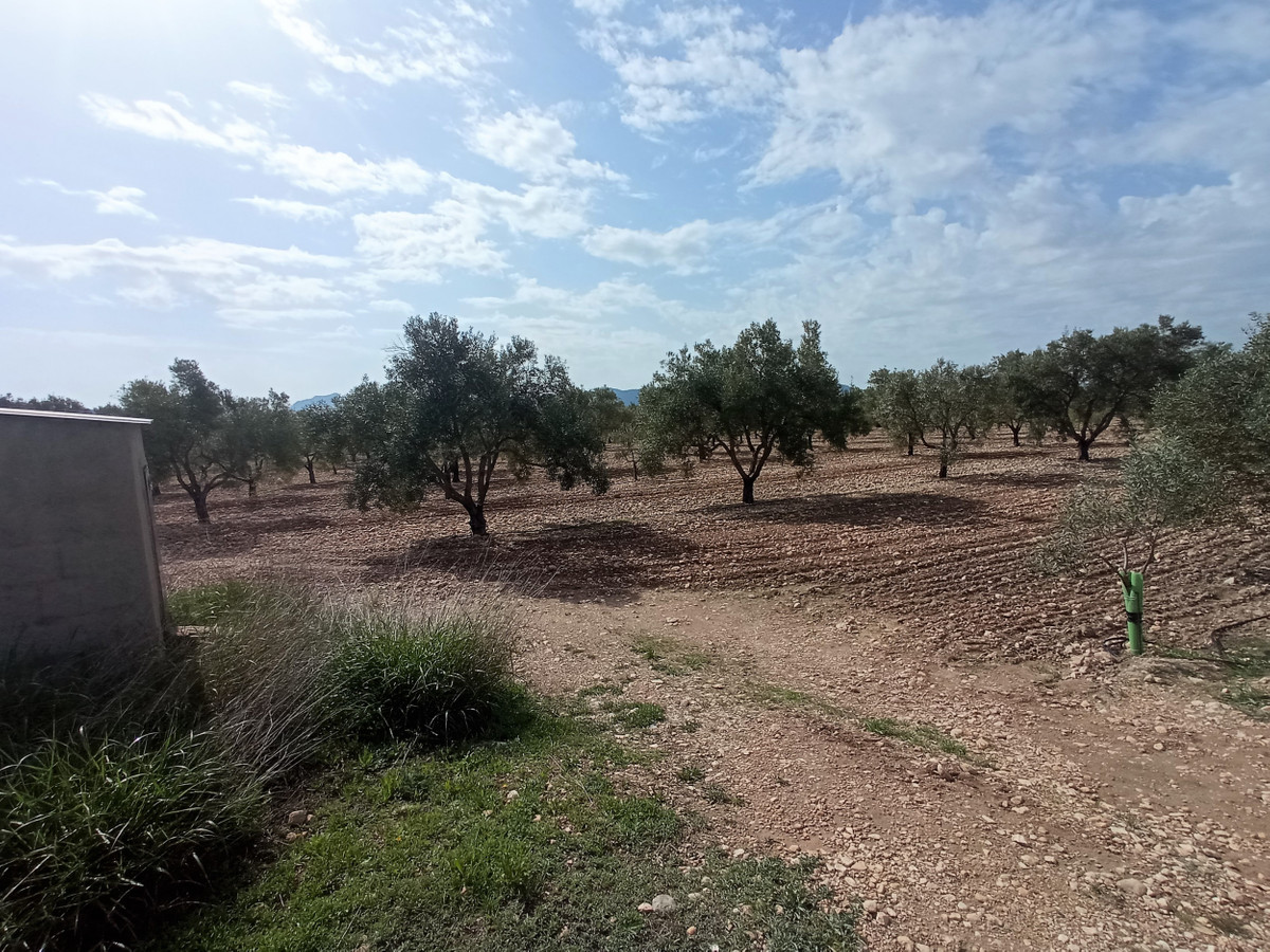 Property main view 5