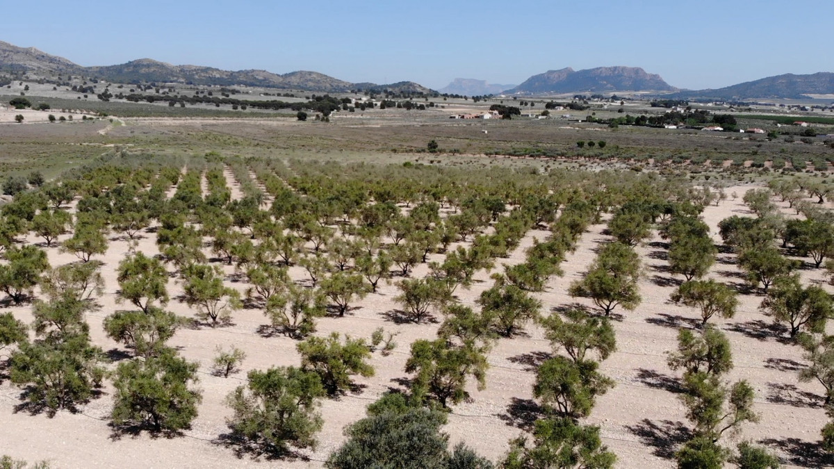 Property main view 9