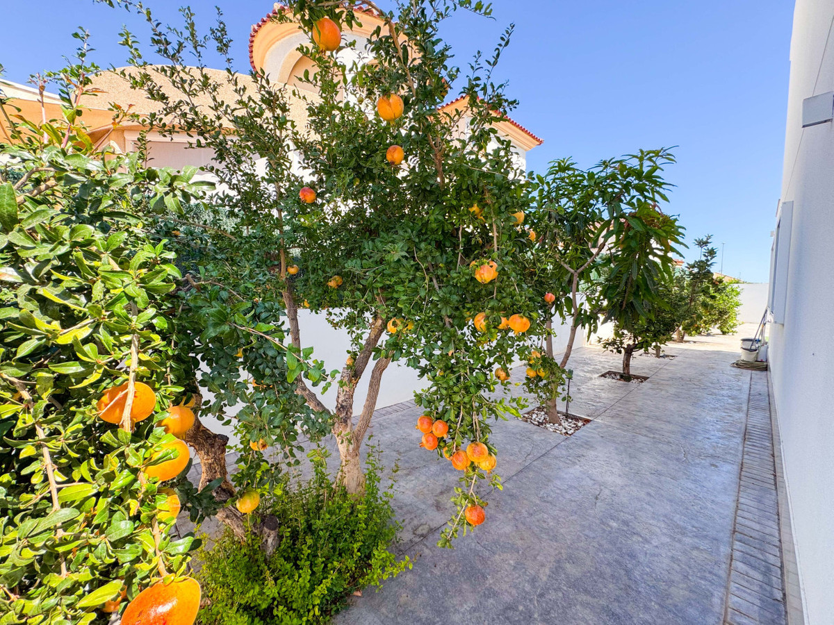 Huis te koop in San Fulgencio | 6 slaapkamers H5295607