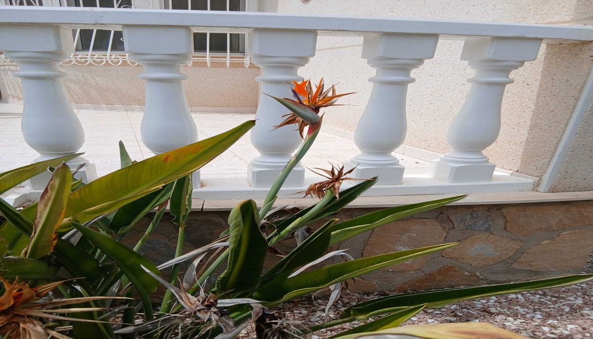 Property main view 12
