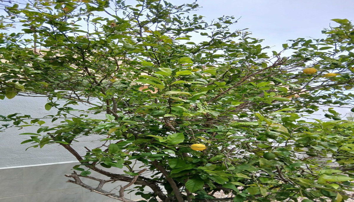 Property main view 15