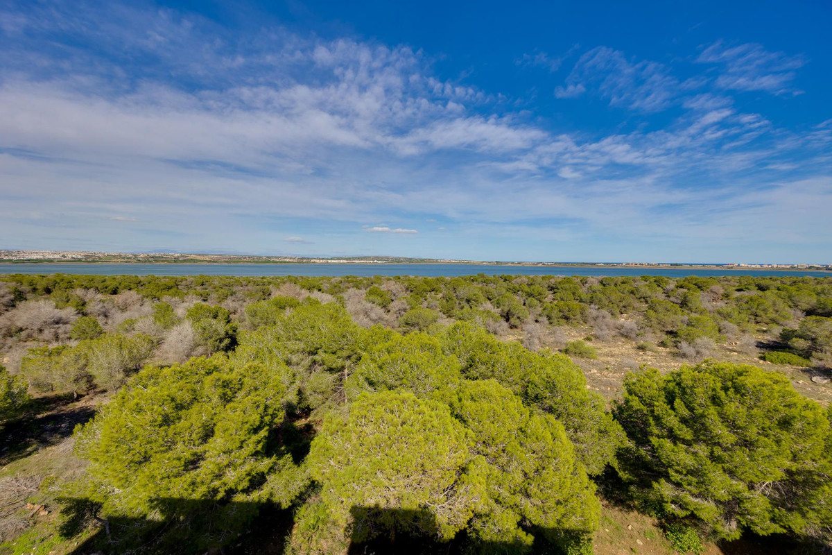 Property main view 36