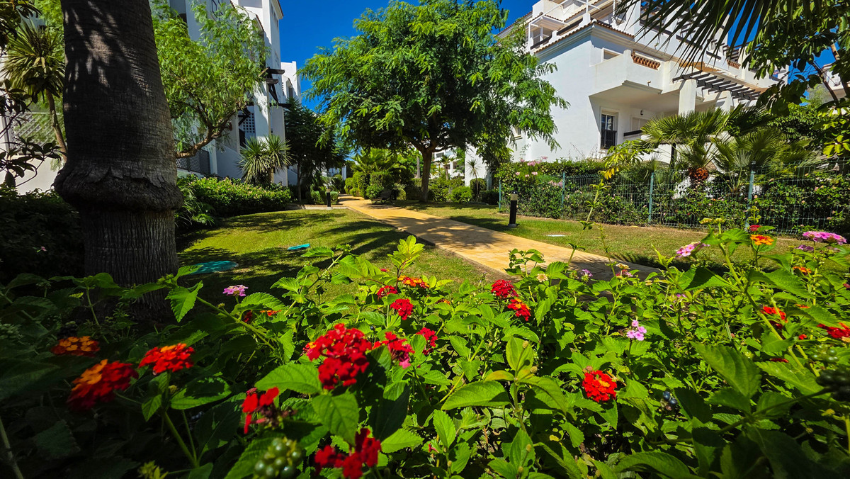 Property main view 20