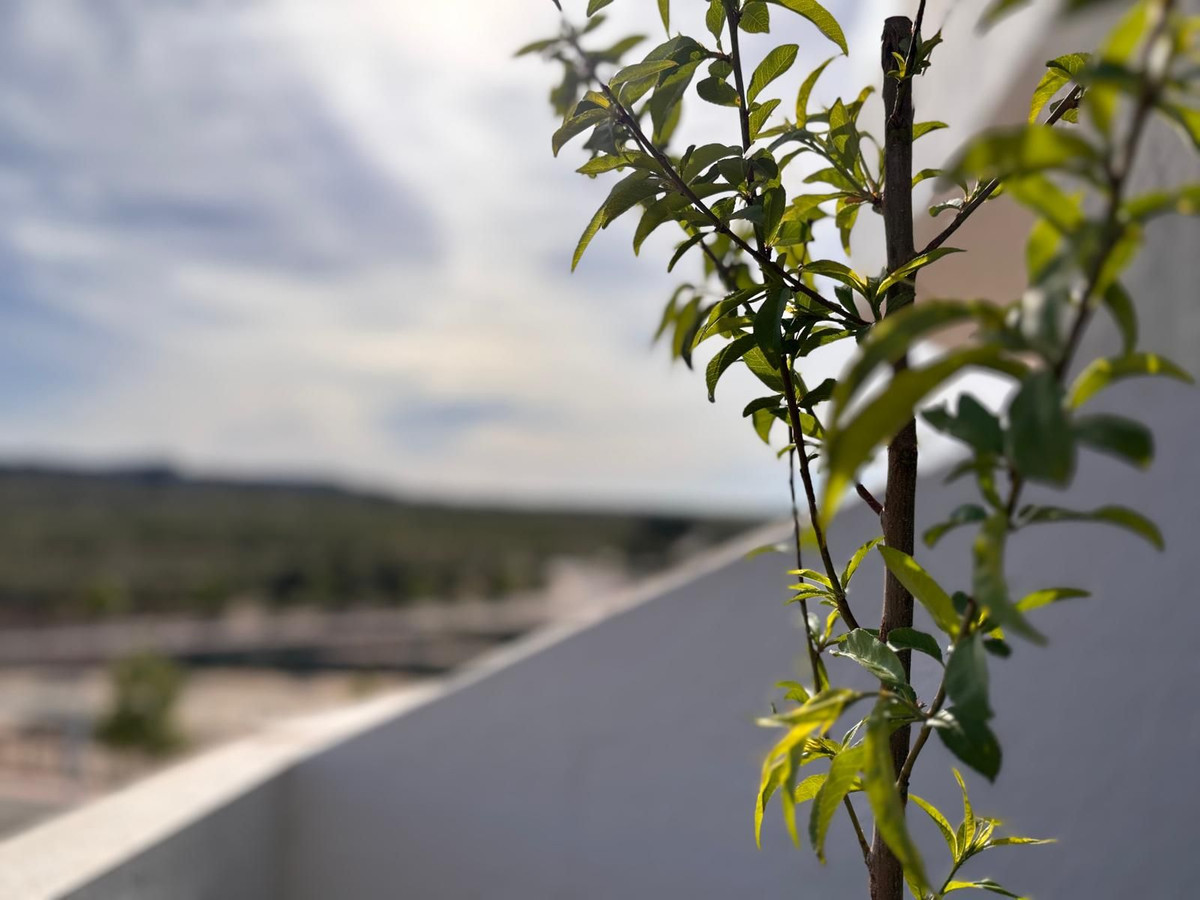 Property main view 16