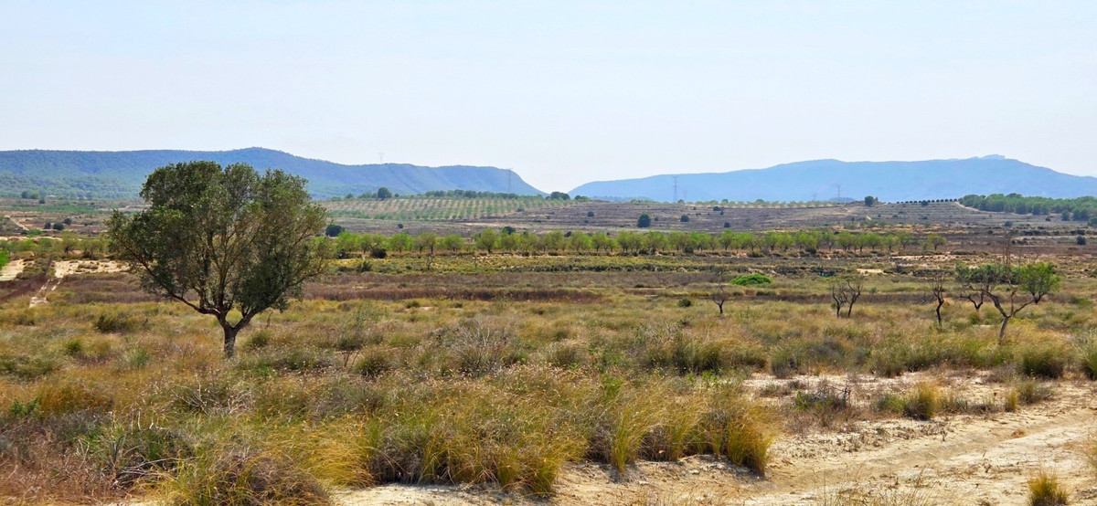Huis te koop in San Miguel de Salinas | 0 slaapkamers H5456386